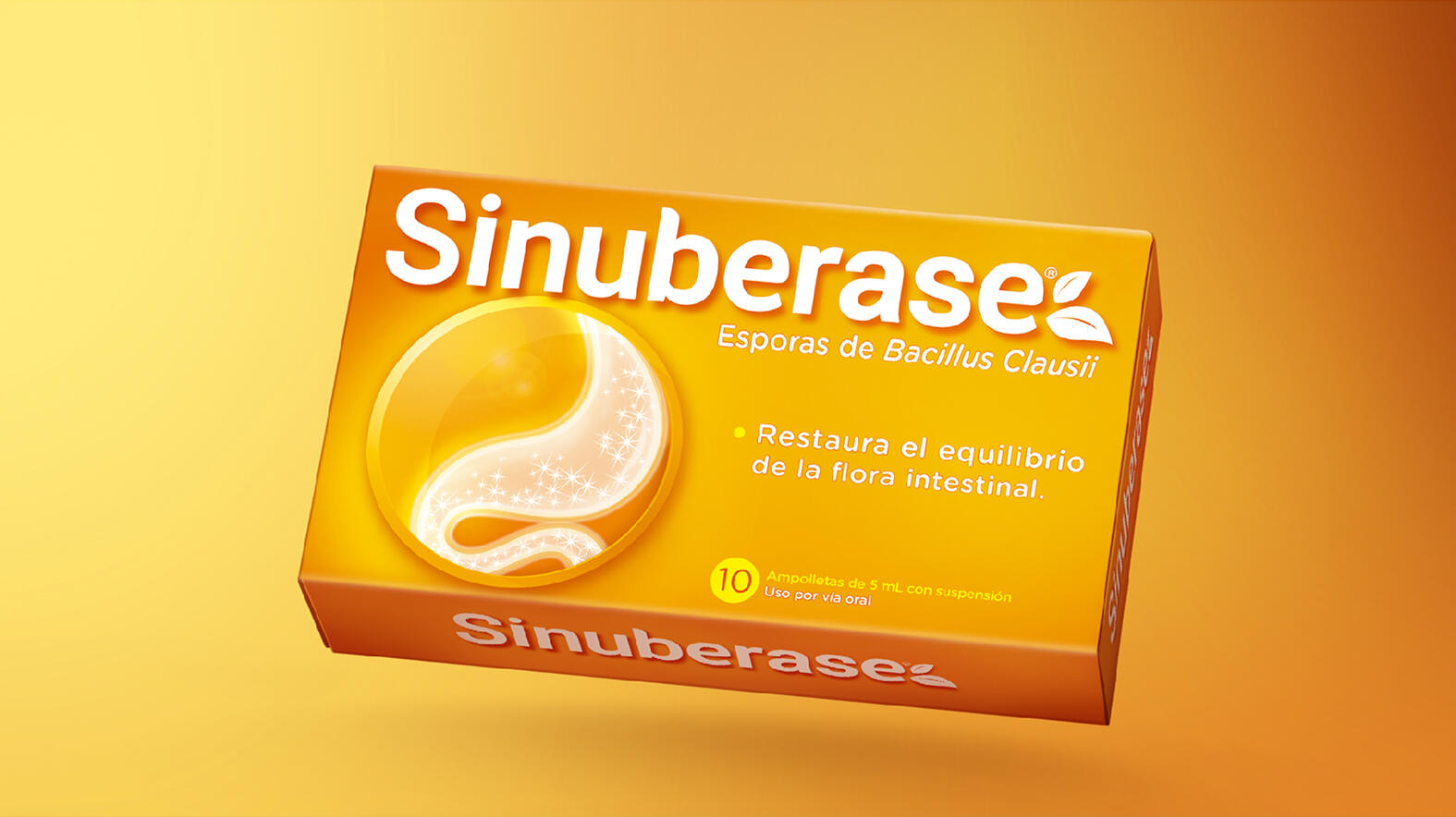 Branding y Packaging
